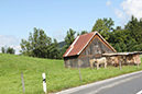 Appenzell (27)