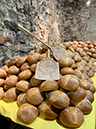 %_tempFileNameimage00002%
